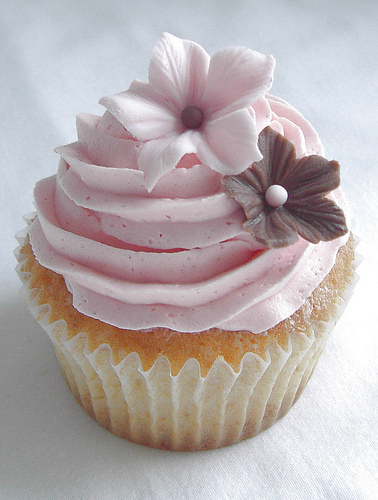 http://malika.cowblog.fr/images/cupcakeetsacremeaubeurrevanille.jpg